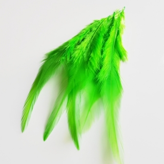 Peří, 10-15cm, zelená, 23ks