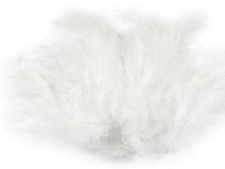Pštrosí peří, 9-16cm, bílá, 20ks